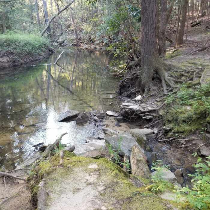 Near Cumberland Mountain State Park Loop