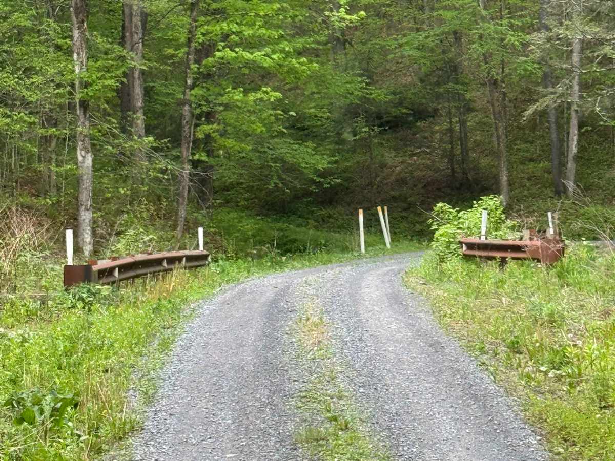 Little Greenlick Road photo 5