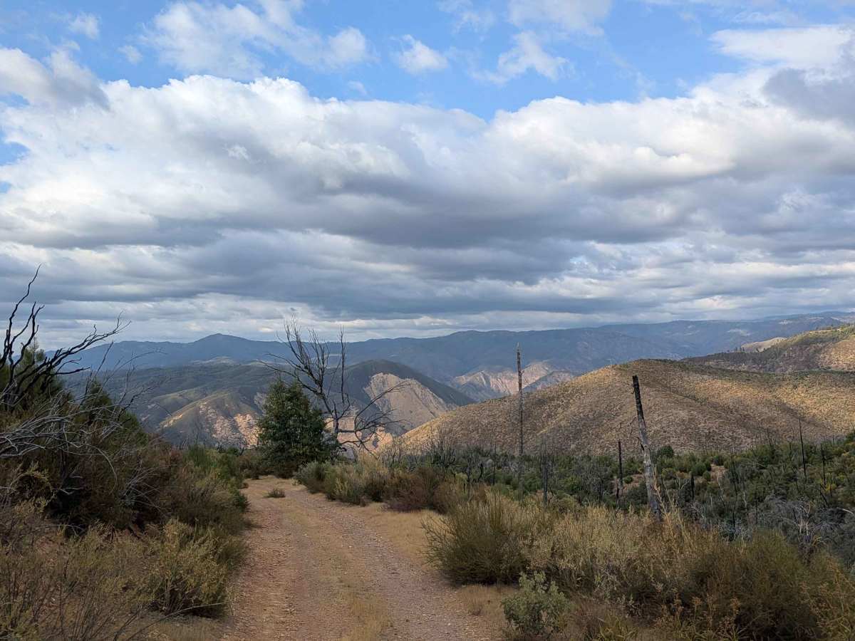 Ponderosa Way trail photo