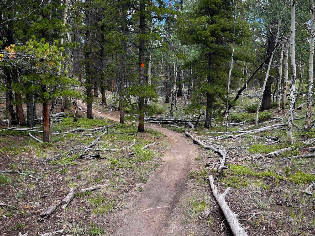 Louie’s Loop #660  trail photo