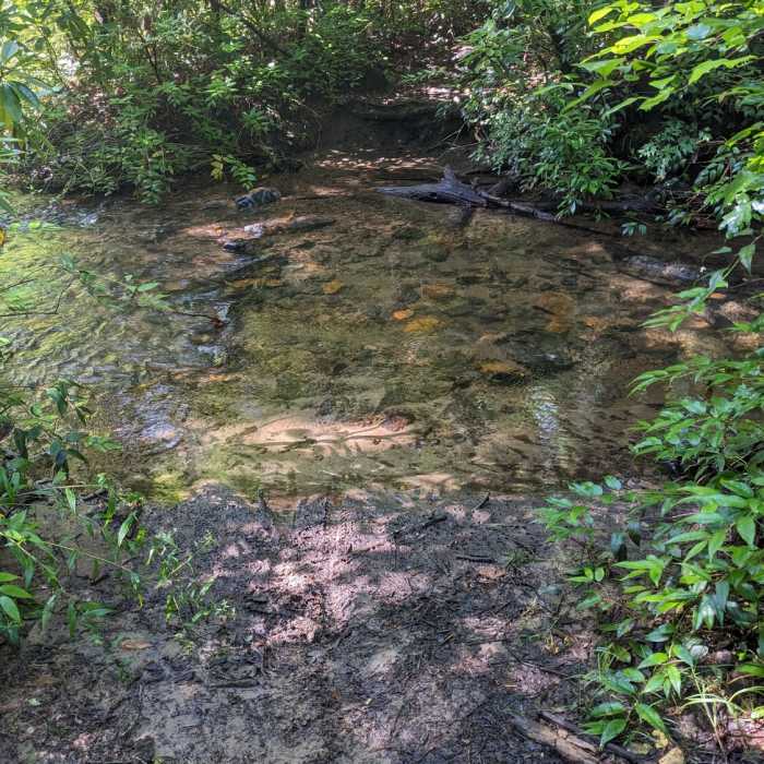 Near Fletcher Creek Rd. (FR 5097)