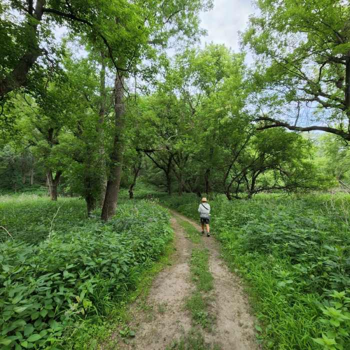 Near River View Loop Trail