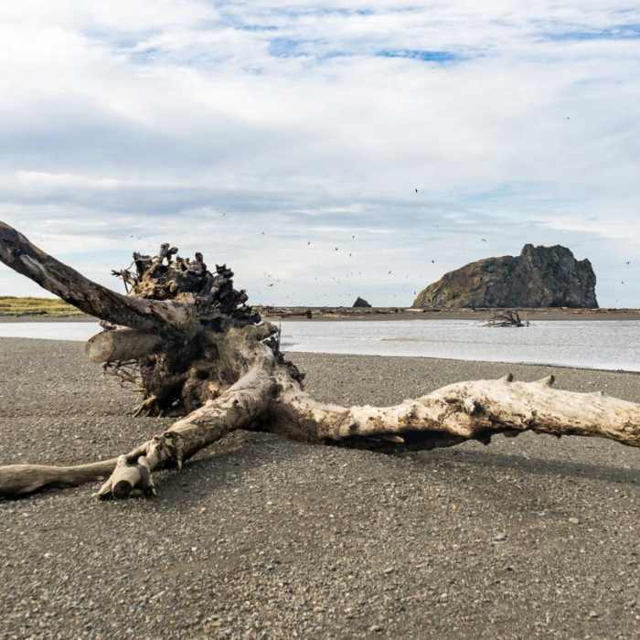 Near River Trail Hike