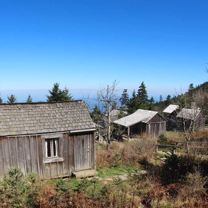 Near Boulevard Trail