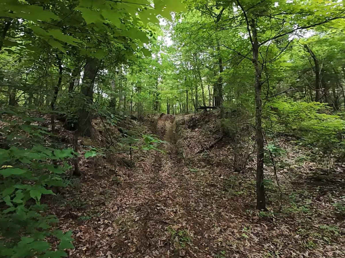 Burnett Trail photo 2