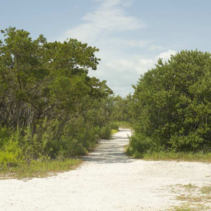 Near Boca Chita Nature Trail