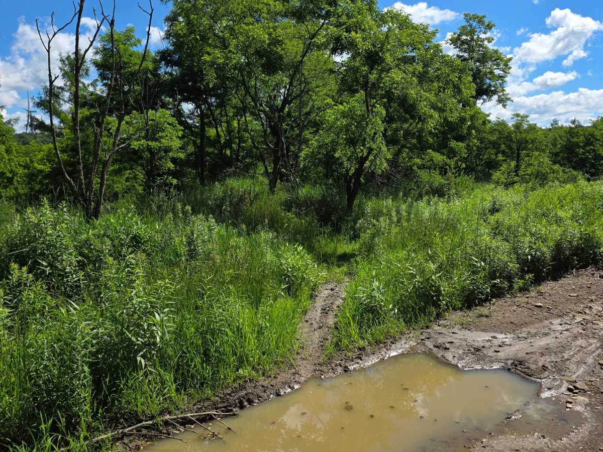 Single Track AA photo 5