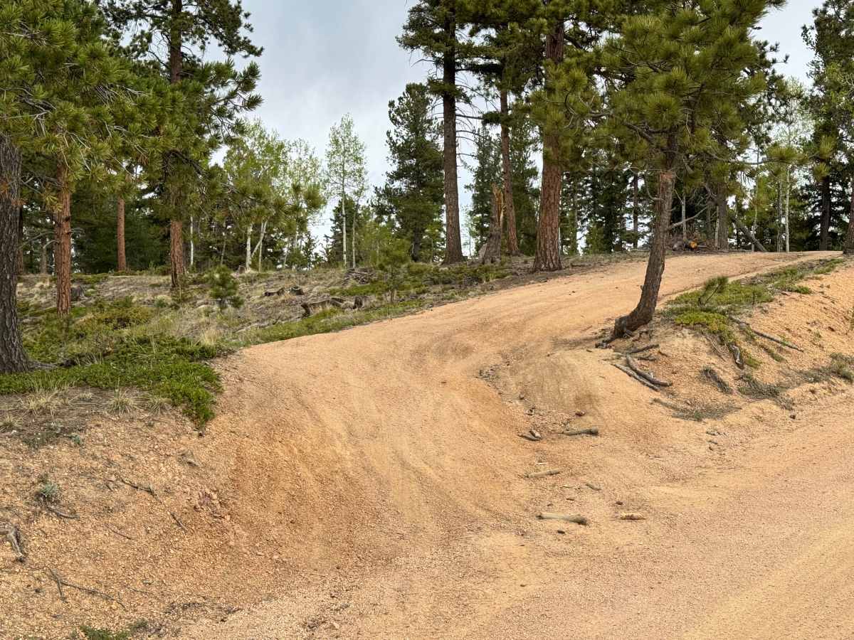 FS 943 trail photo