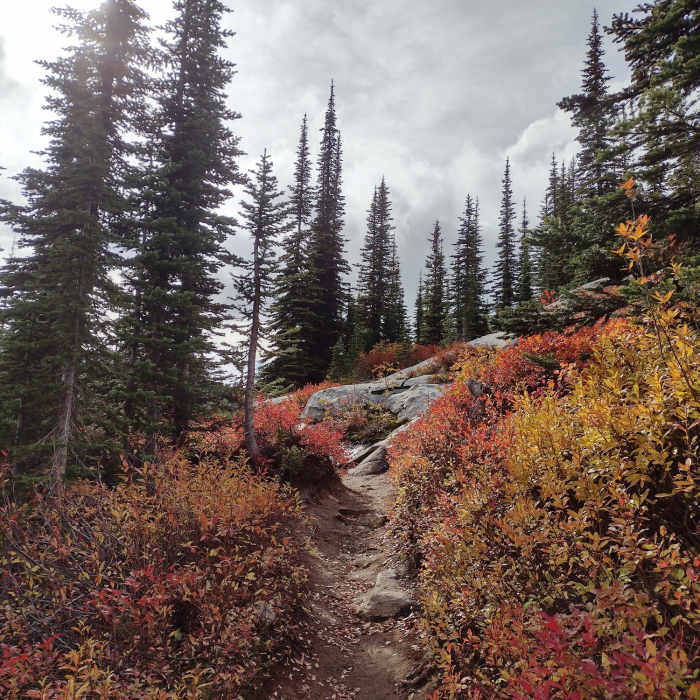 Near Roman Nose Lakes Trail #165