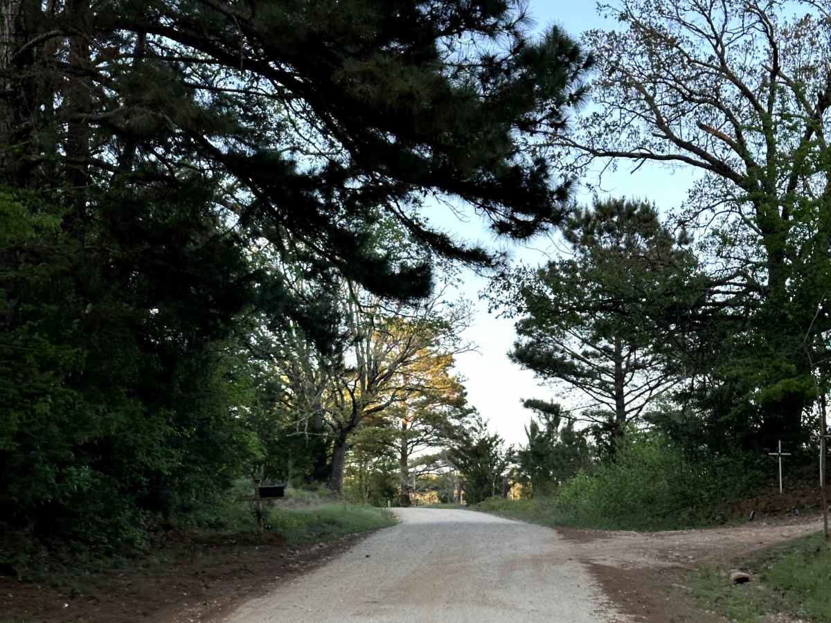 County Road 1190 photo 4