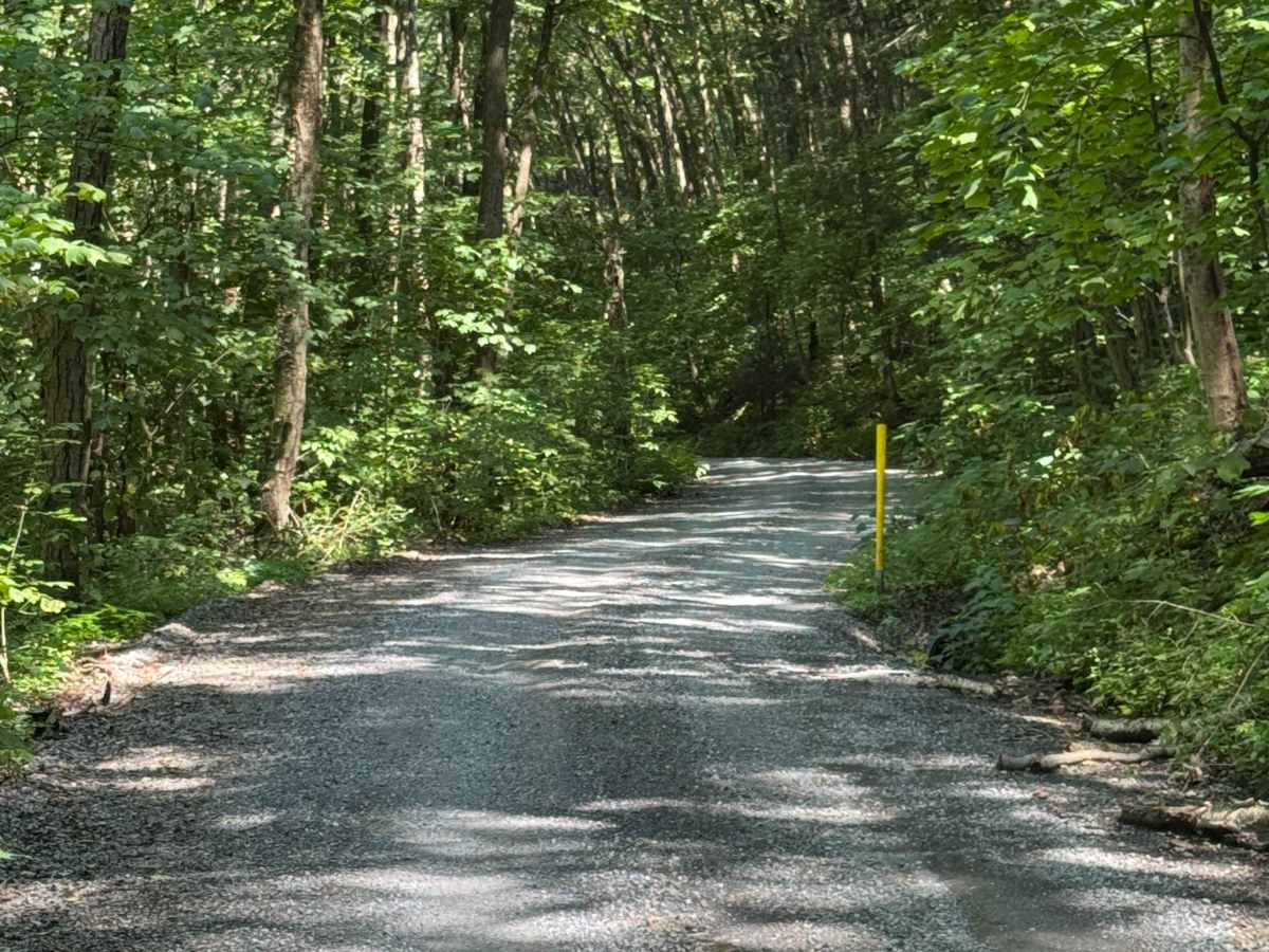 Boone Road photo 5