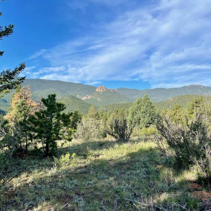Near Colorado Trail Segment 3