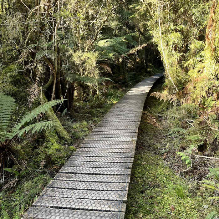 Near Monro Beach Walk Near Monro Beach Walk