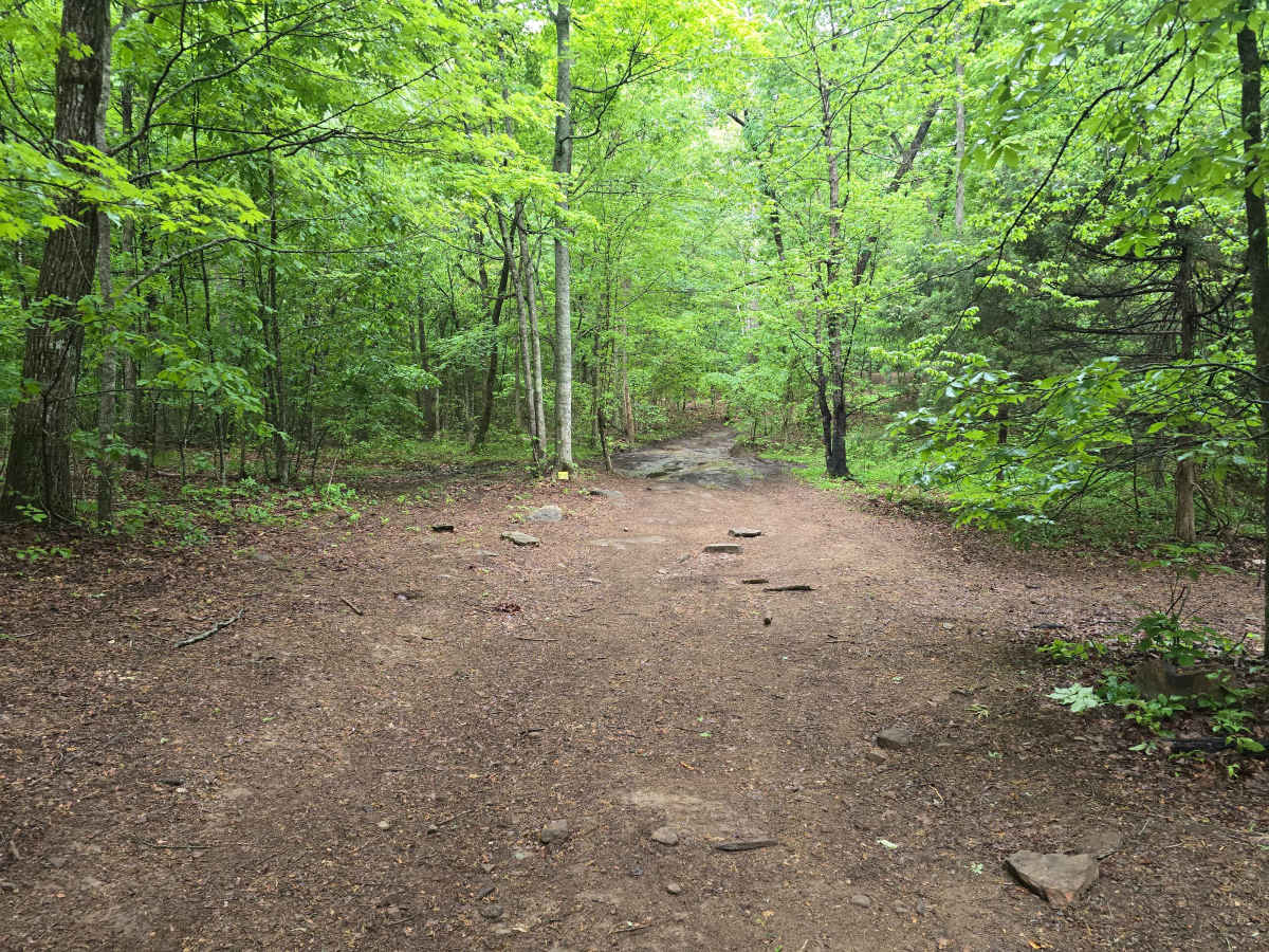 Trail 49 photo 5