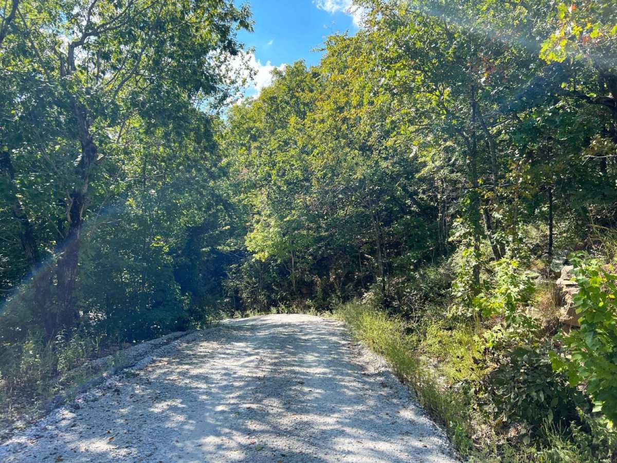 Old River Road photo 2