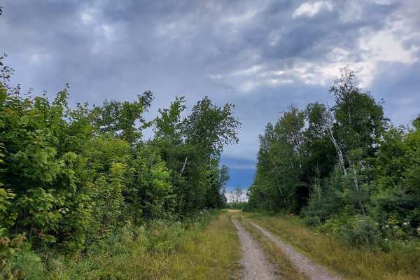 Truck Trail 1