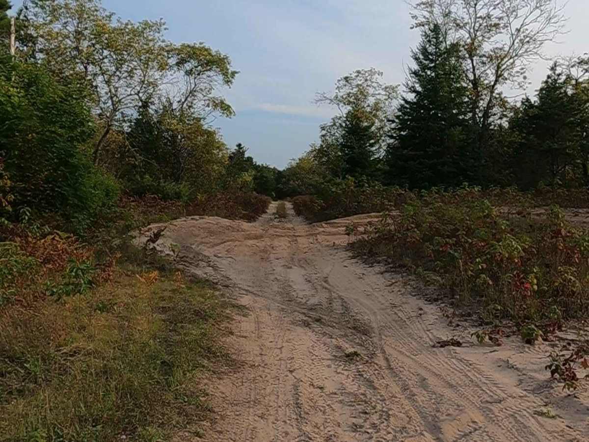 East Boundary Road photo 2