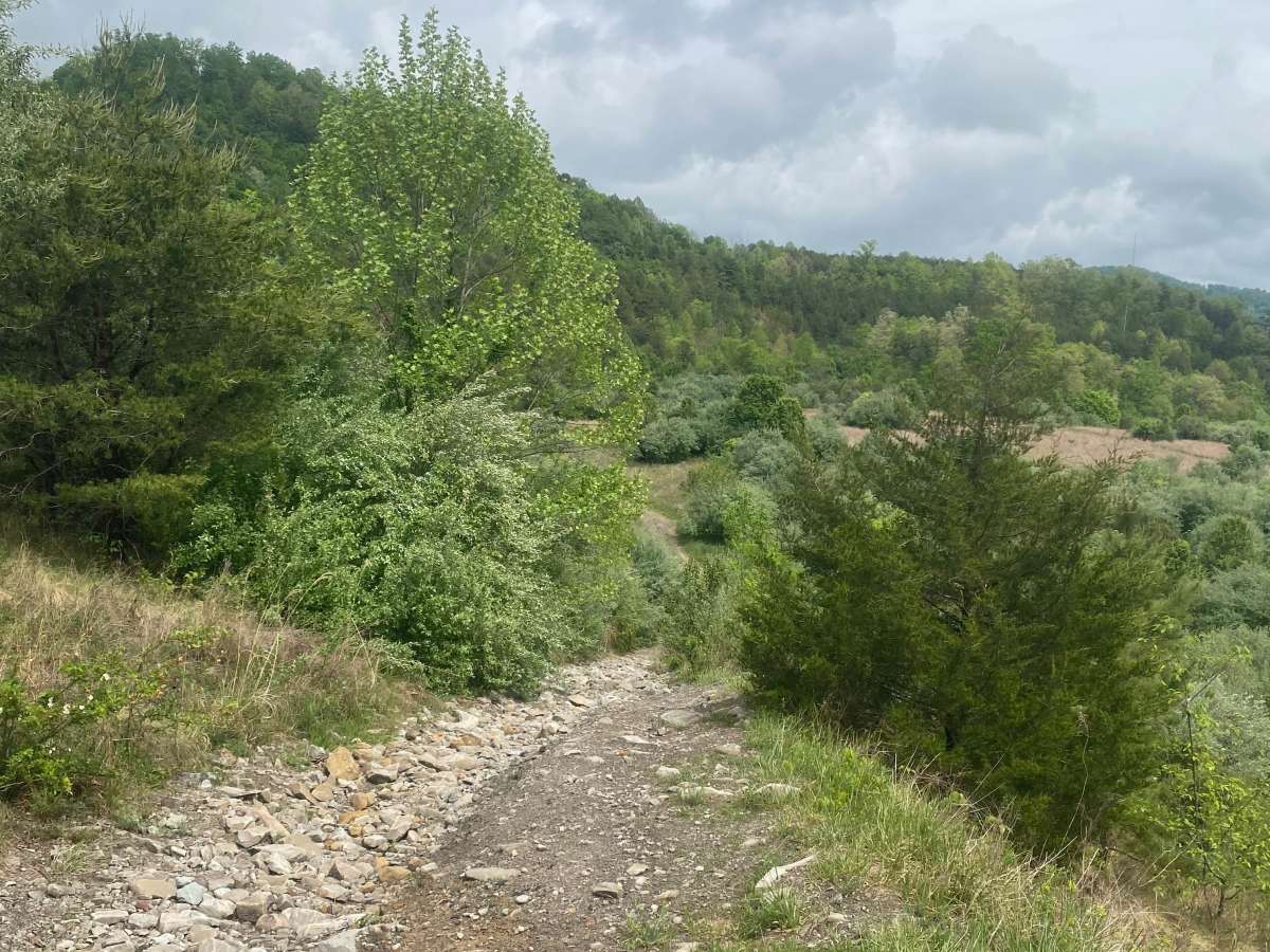 Four Seam Mountain photo 5
