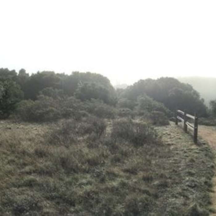 Near Mt. Livermore Summit - North Ridge Trail