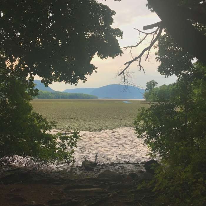 Near Dennings Point Trail