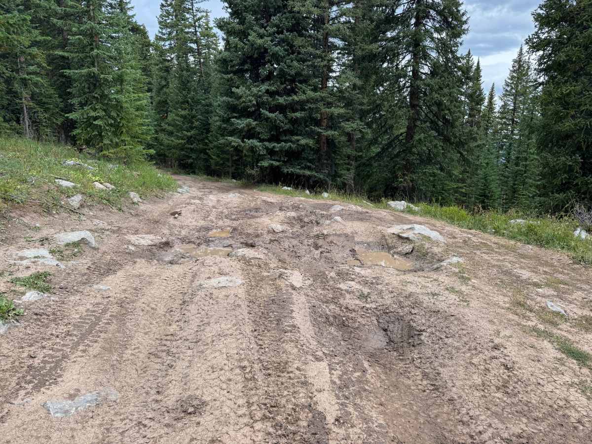 Red and White Mountain Road photo 4