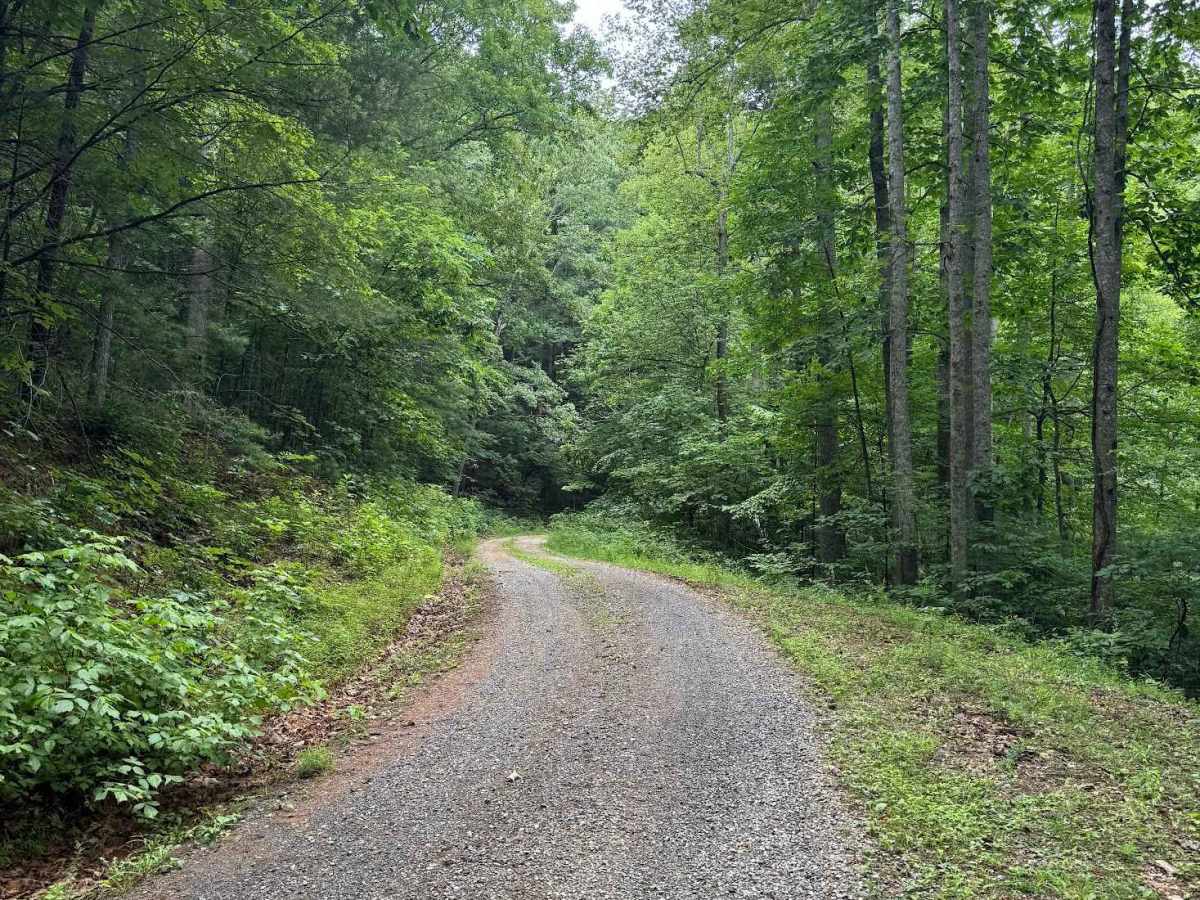 Colon Hollow trail photo
