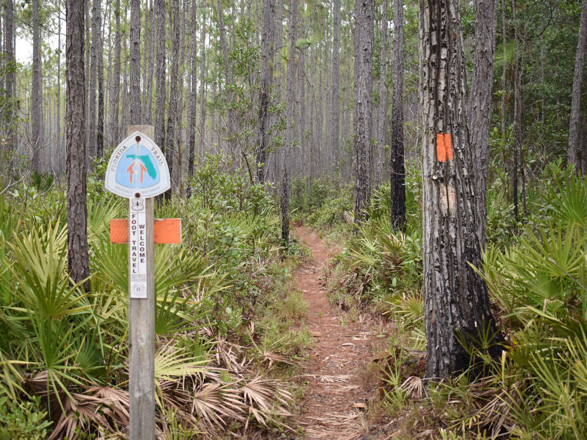 Battlefield Trail photo 2