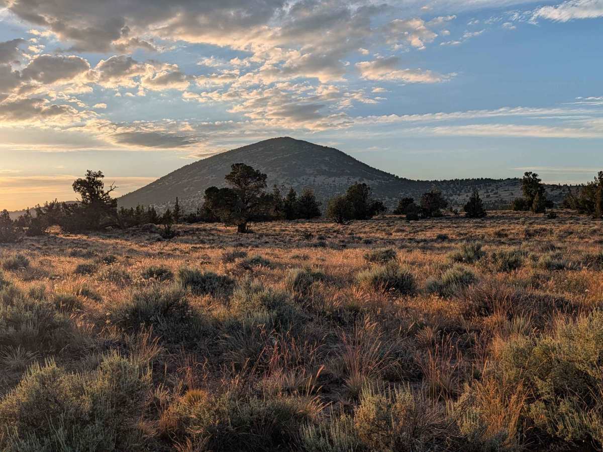 Panhandle Lake - FS 47N21 photo 6