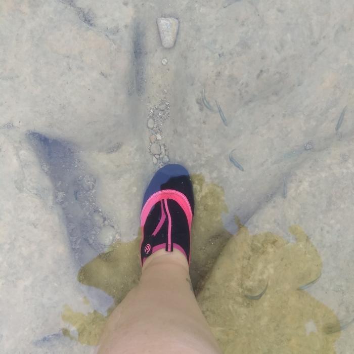 Near Blue Hole Trail