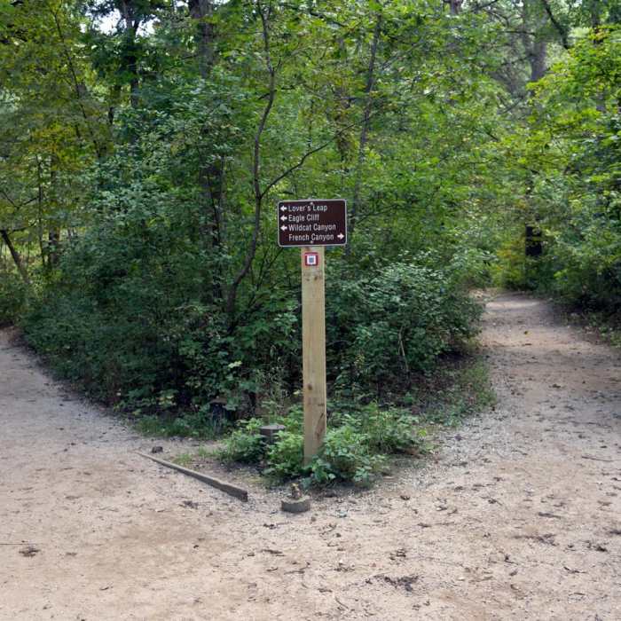 Near French Canyon Near French Canyon