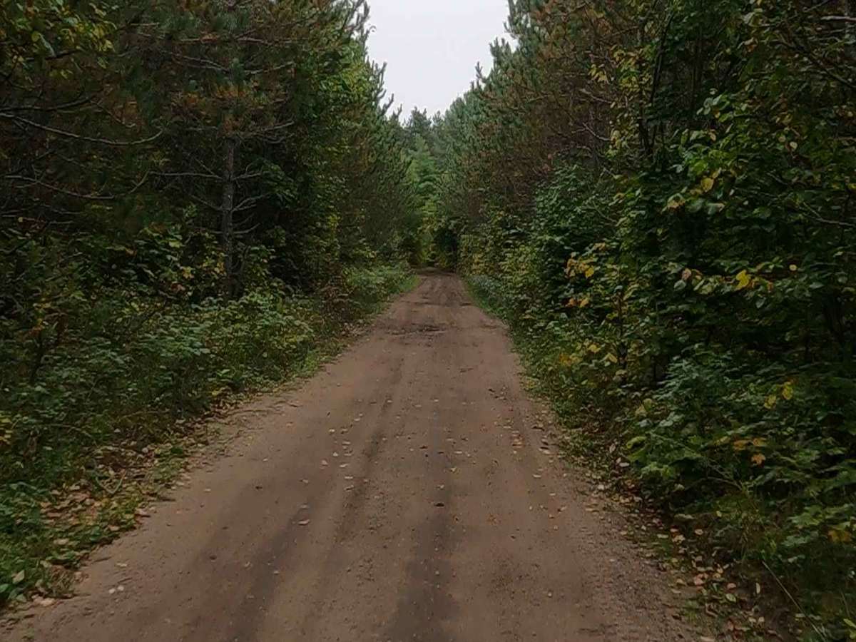 Fisher Road - FS 3005 (ORV Route Ai) photo 6