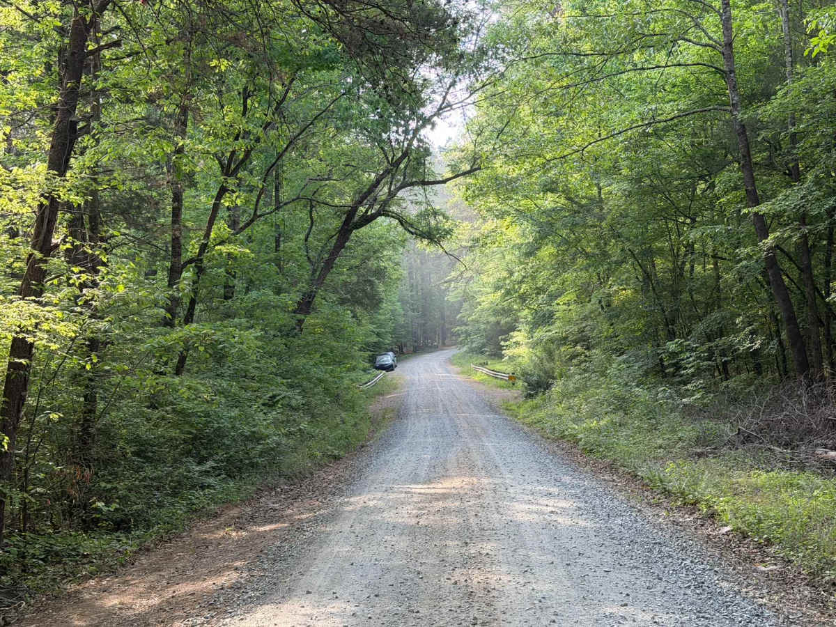McLeans Creek - FS 544 photo 4