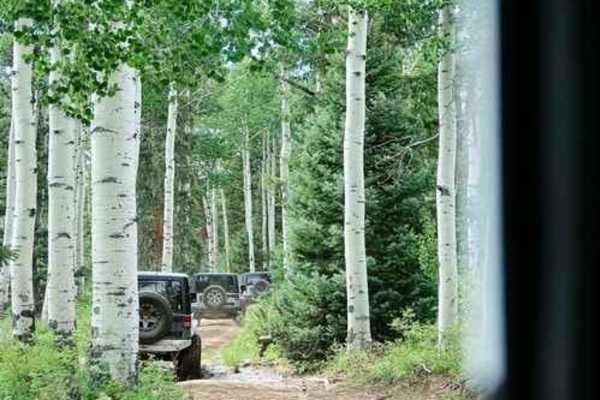 Roubideau Jeep Trail