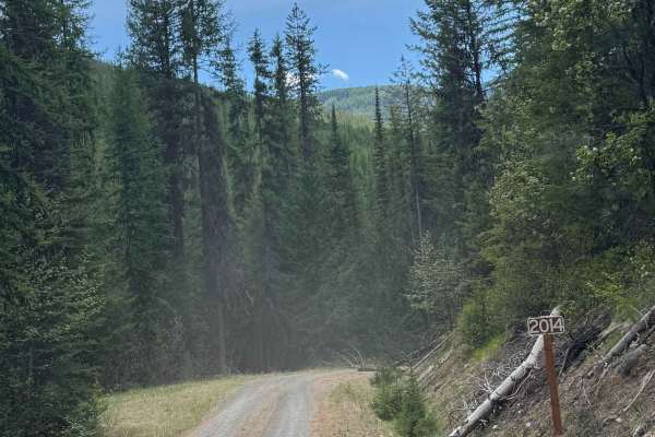 Barnaby Creek - FS 2014-000