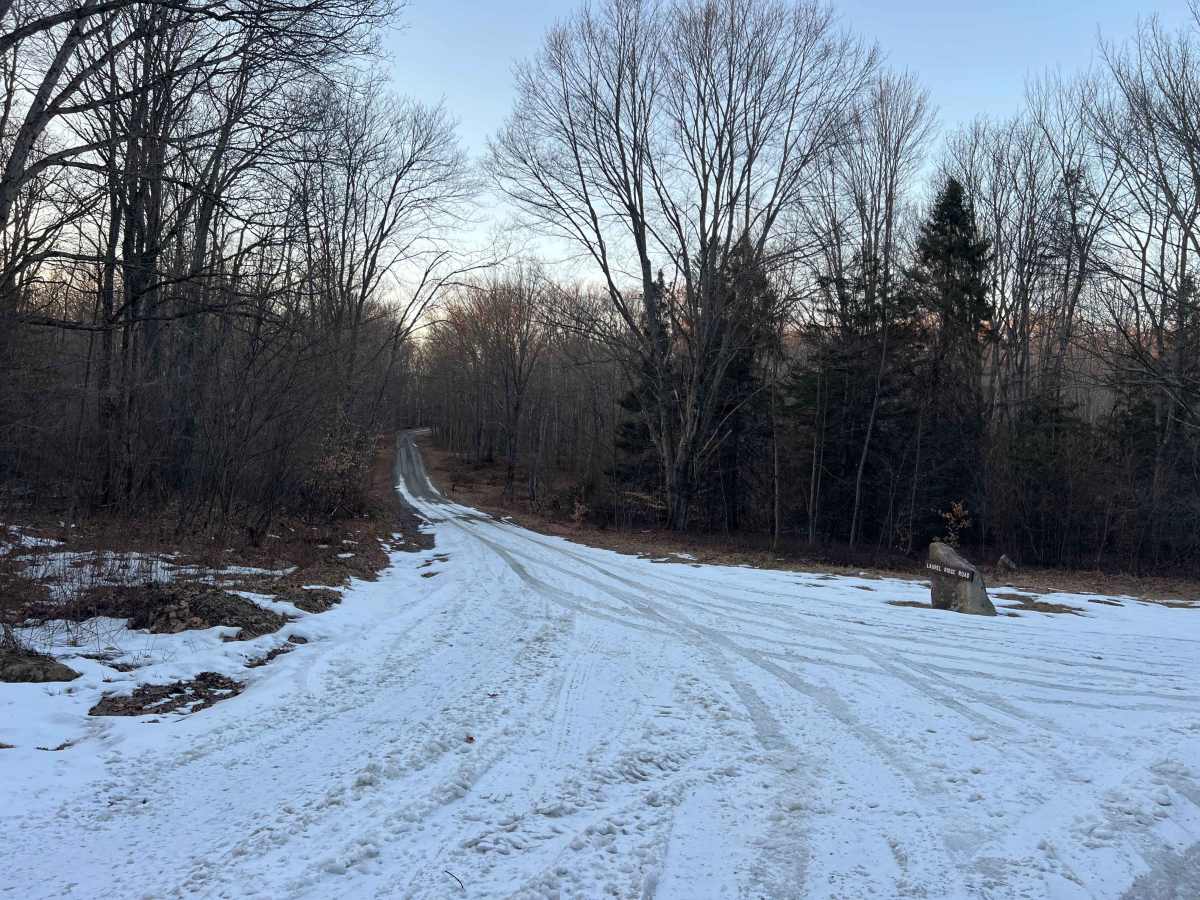 Laurel Ridge Road trail photo