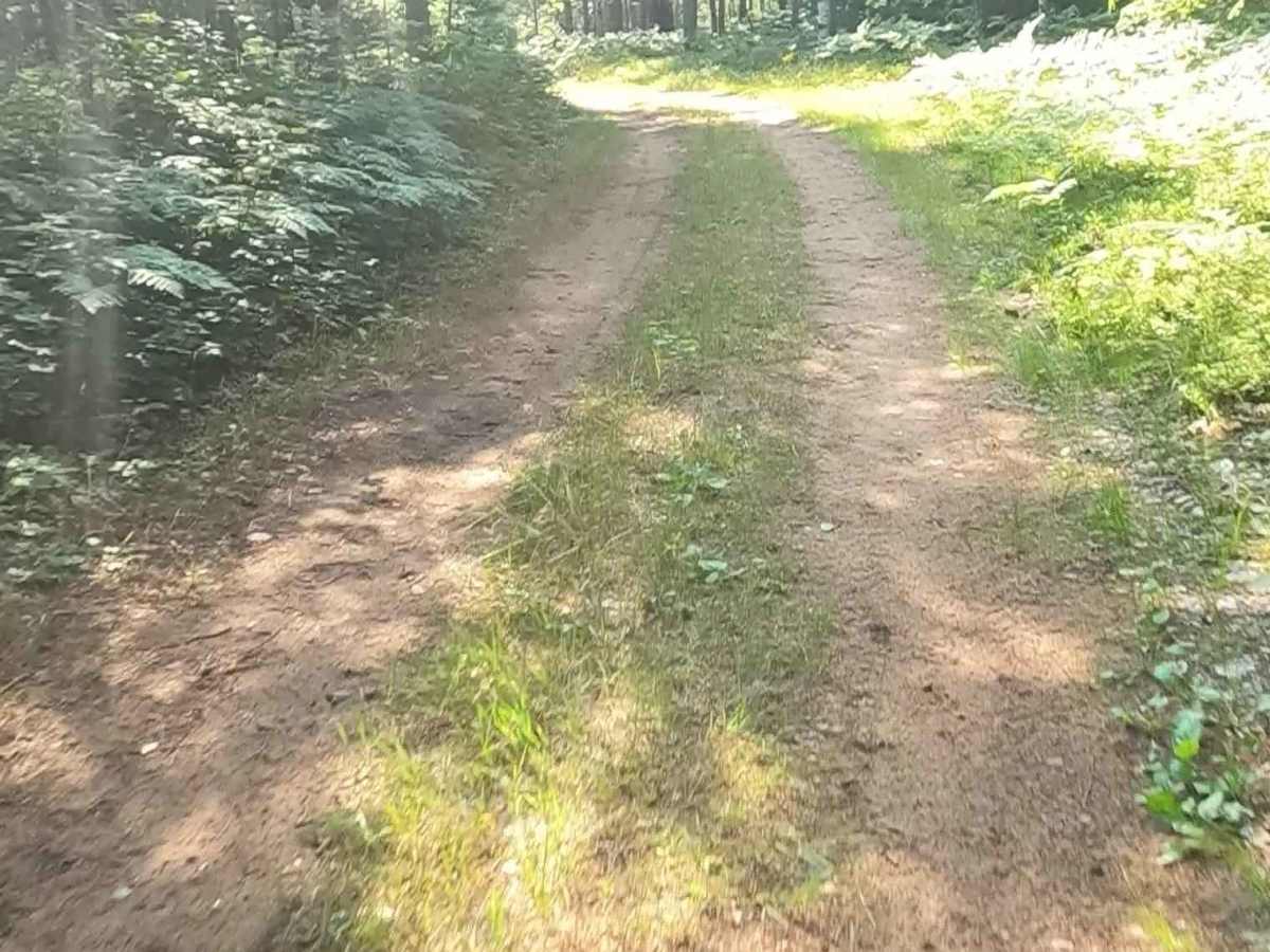 Bills Creek West - FSR 2814 photo 4