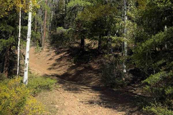 Powderhouse Trail - FS 647