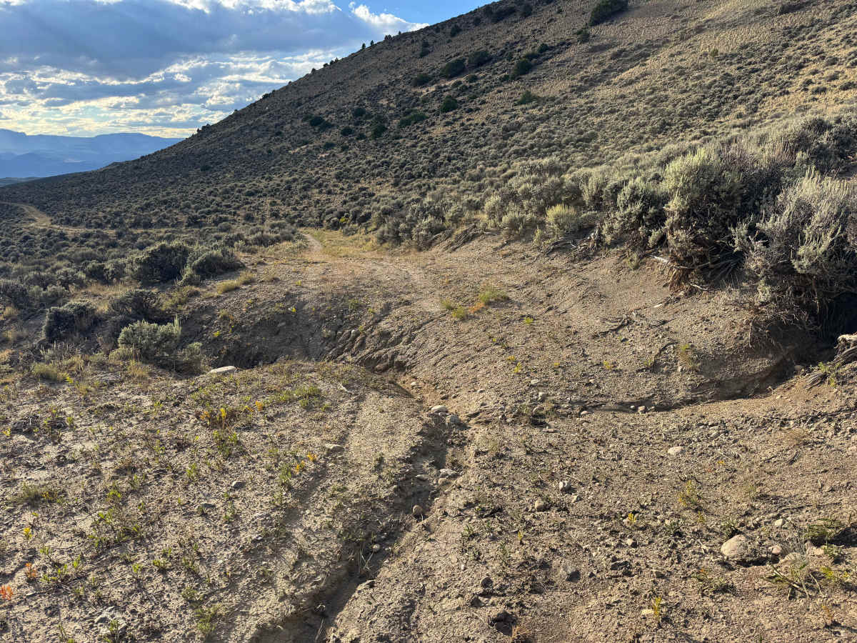 BLM 8534 photo 5