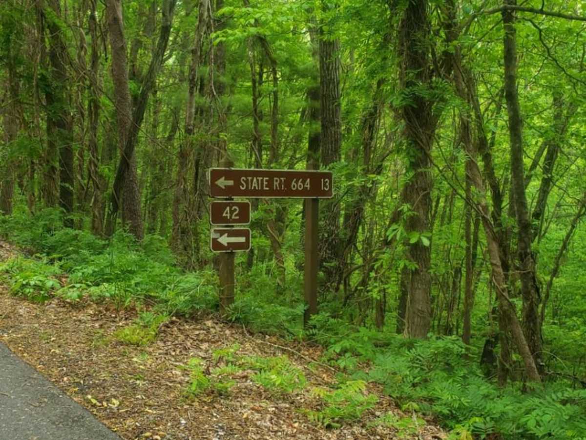 Coal Road photo 4