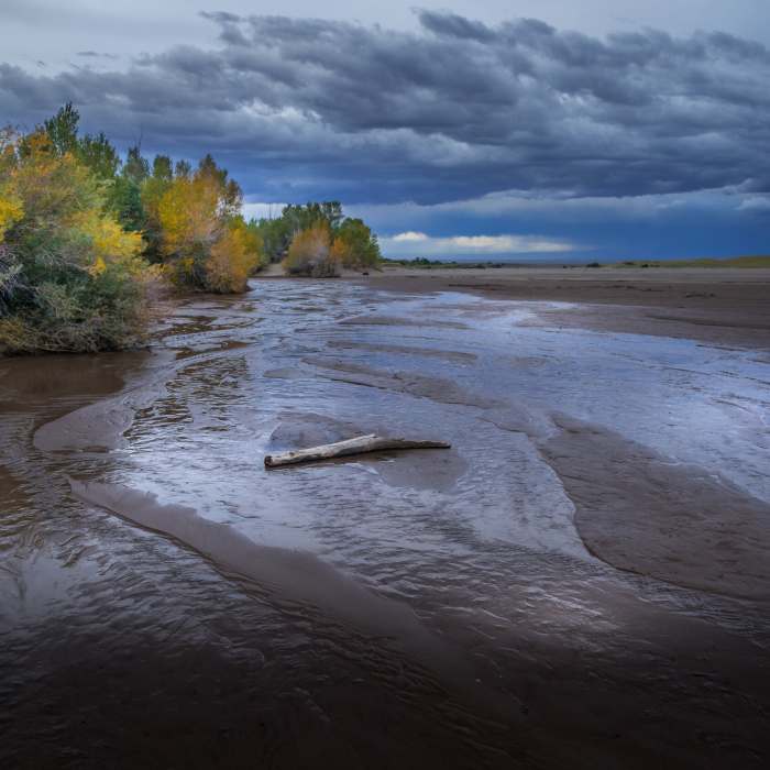 Near Tallest Dunes Out-and-Back