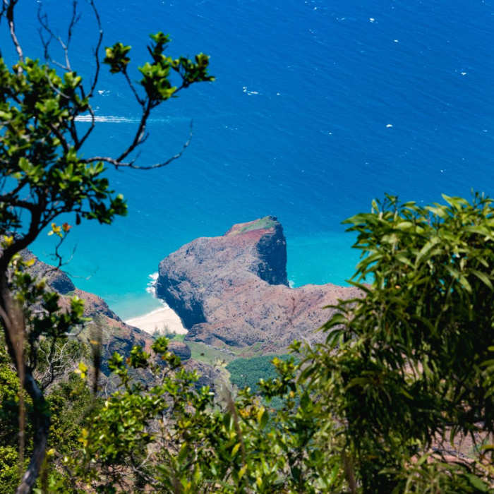 Near HonopA<< Ridge Trail Near HonopA<< Ridge Trail