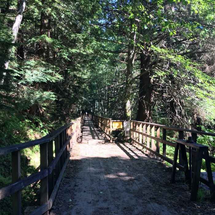 Near Gold Creek Flume Trail