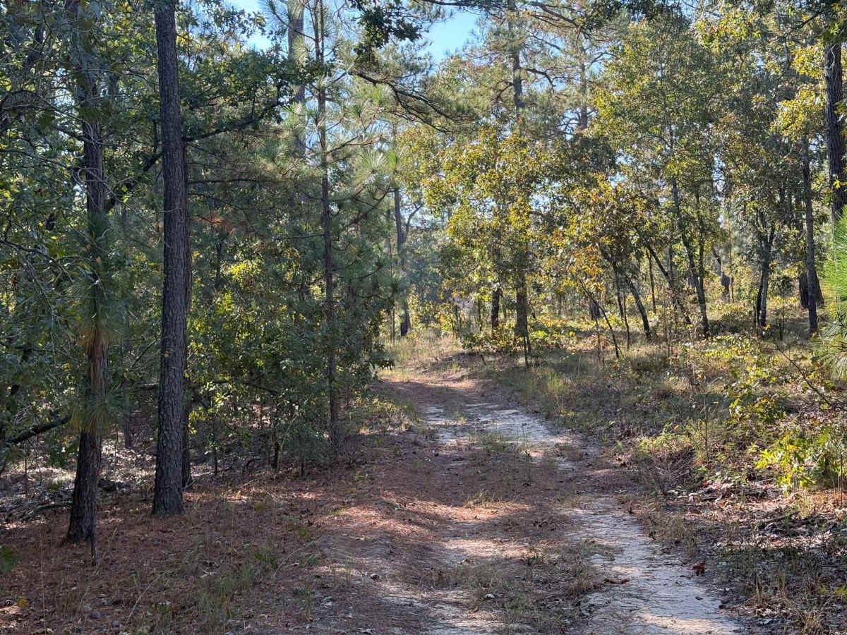 A-6 Lane trail photo