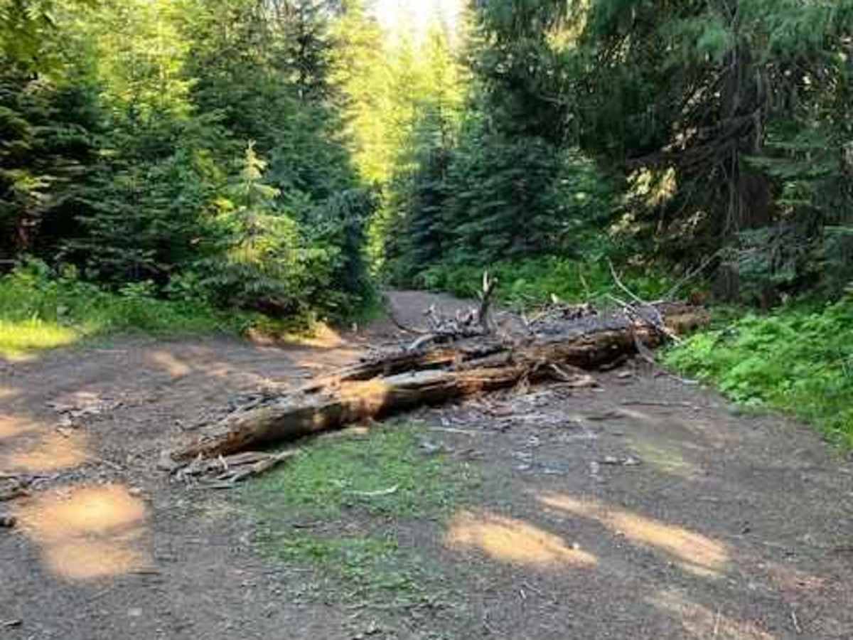 Moscow Mountain Lookout photo 5