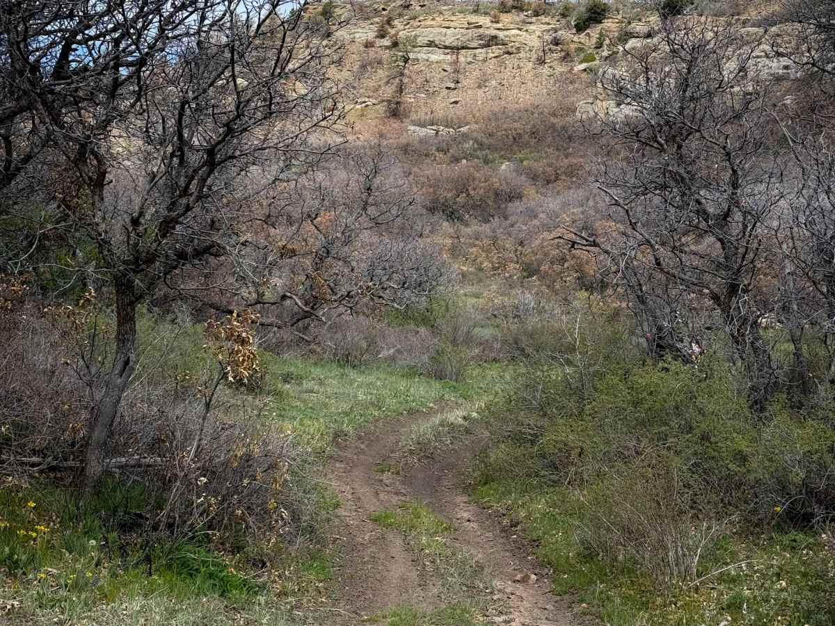 Lower 2 Mile Loop  photo 5