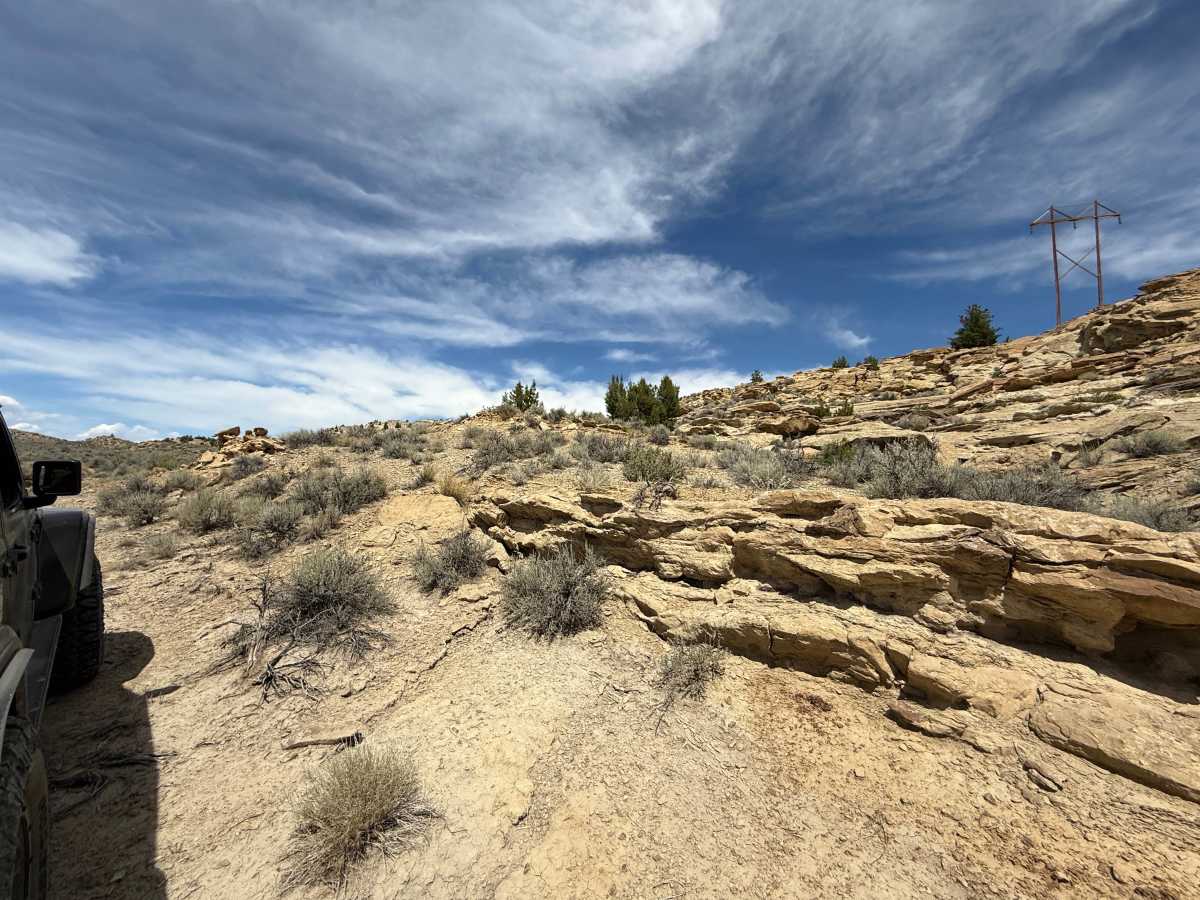 Bill's Trail photo 5