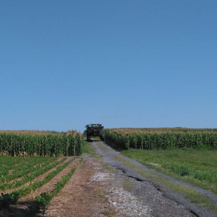 Near Musser Gap Greenway