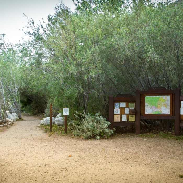 Near Canyon View Loop