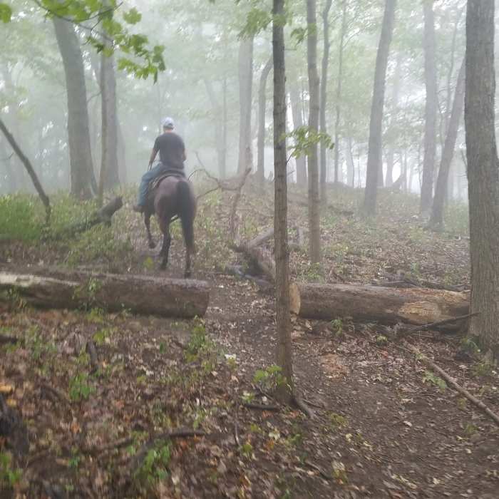 Near Sugarloaf Mountain Trail