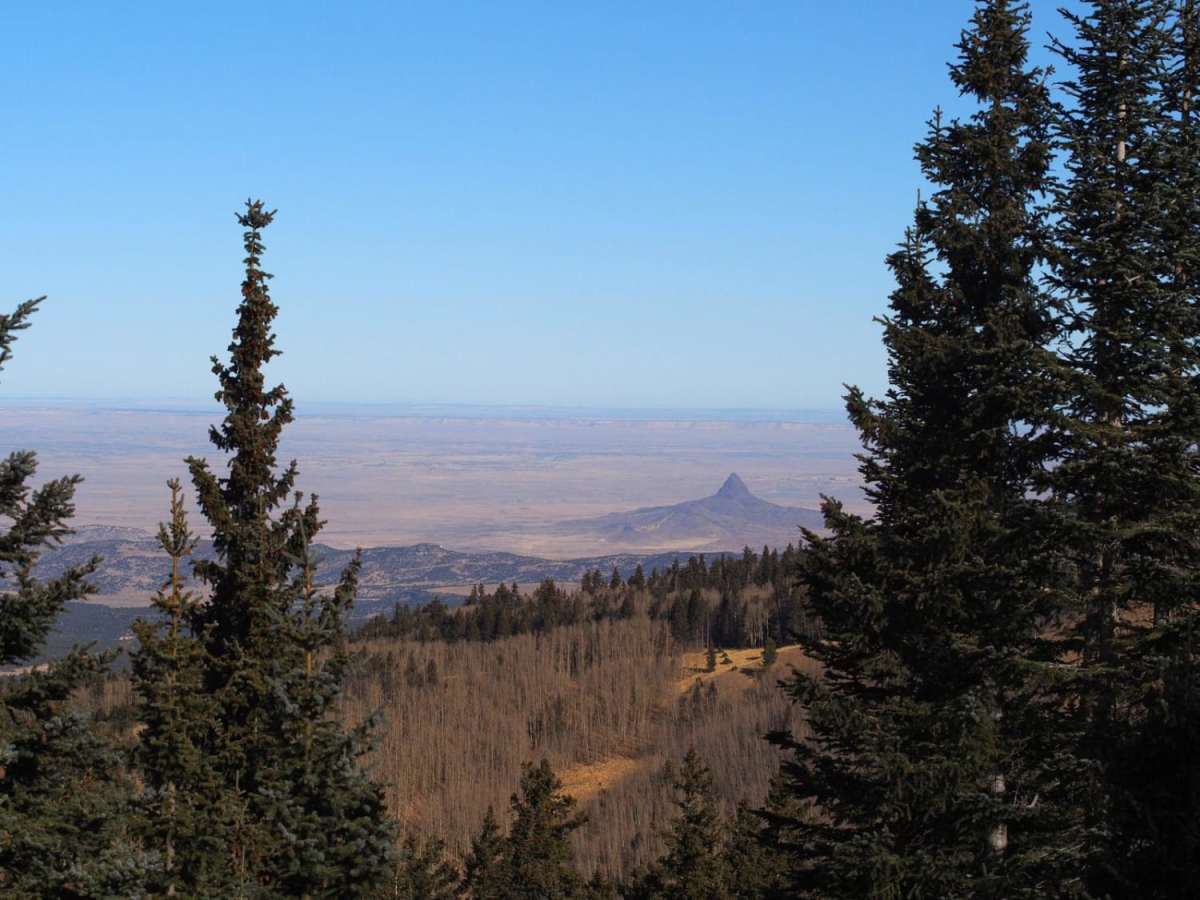Mt. Taylor Peak 4x4 Road photo 6